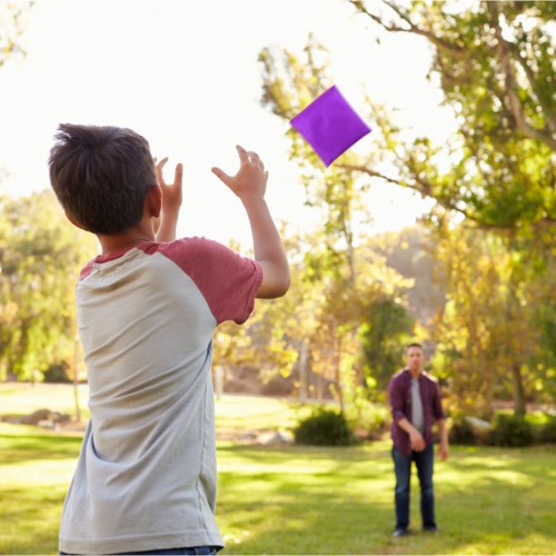 Disino Pack of 16 10 x 10 cm Nylon Bean Bags Throwing Cornhole Bag Waterproof Bean Bag with Carry Bag, Toss Game Bean Bag Throwing Game for Children PE Sensory Juggling Sports Training